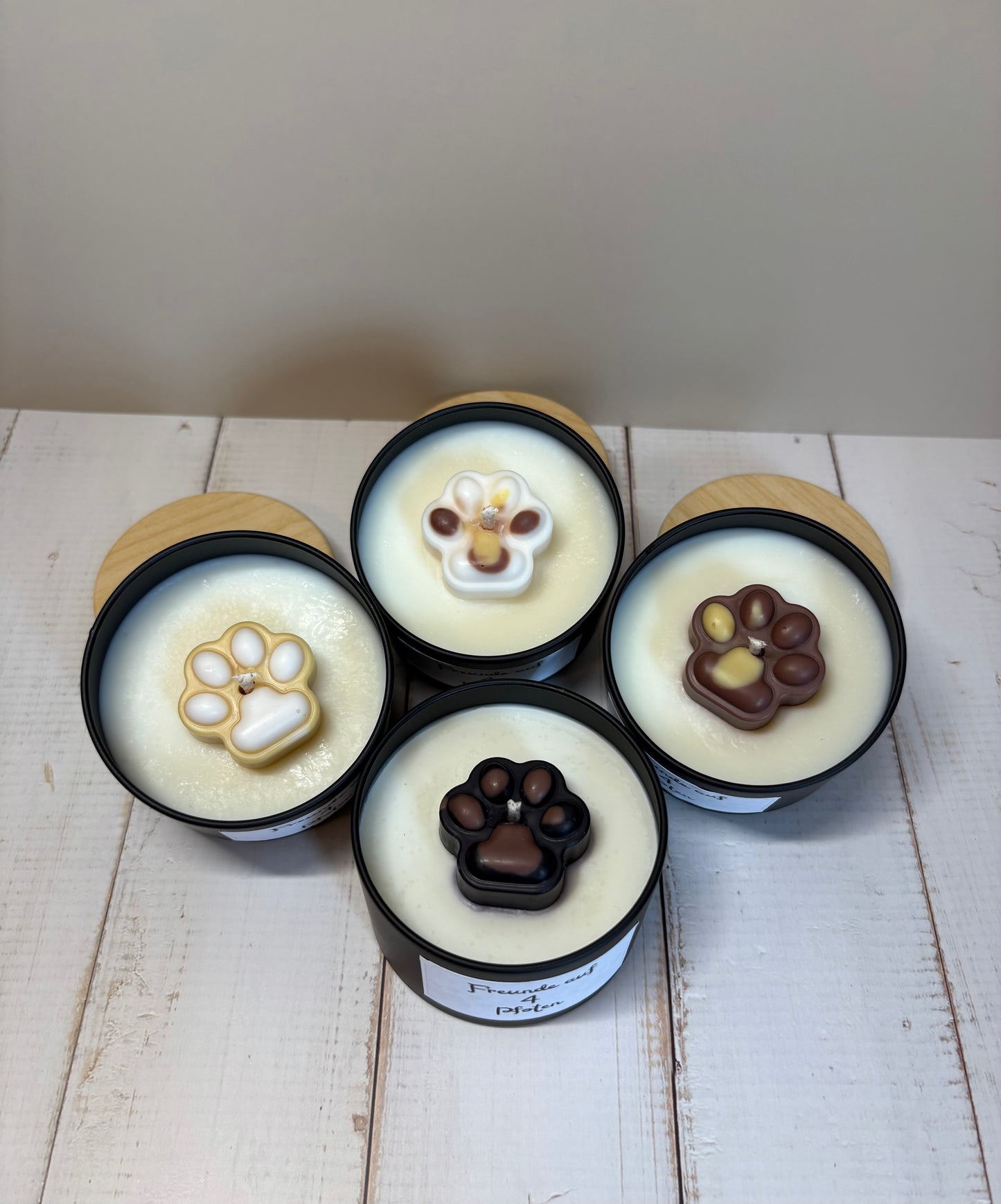 Freunde auf 4 Pfoten