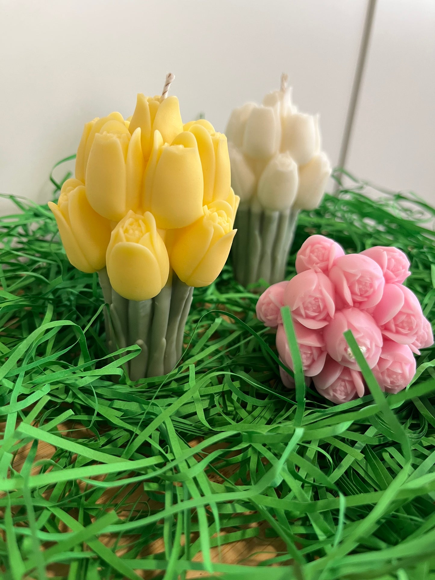 Tulpen