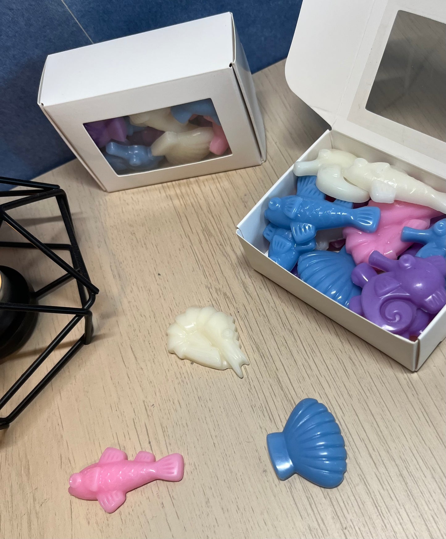 Waxmelts Under the Sea