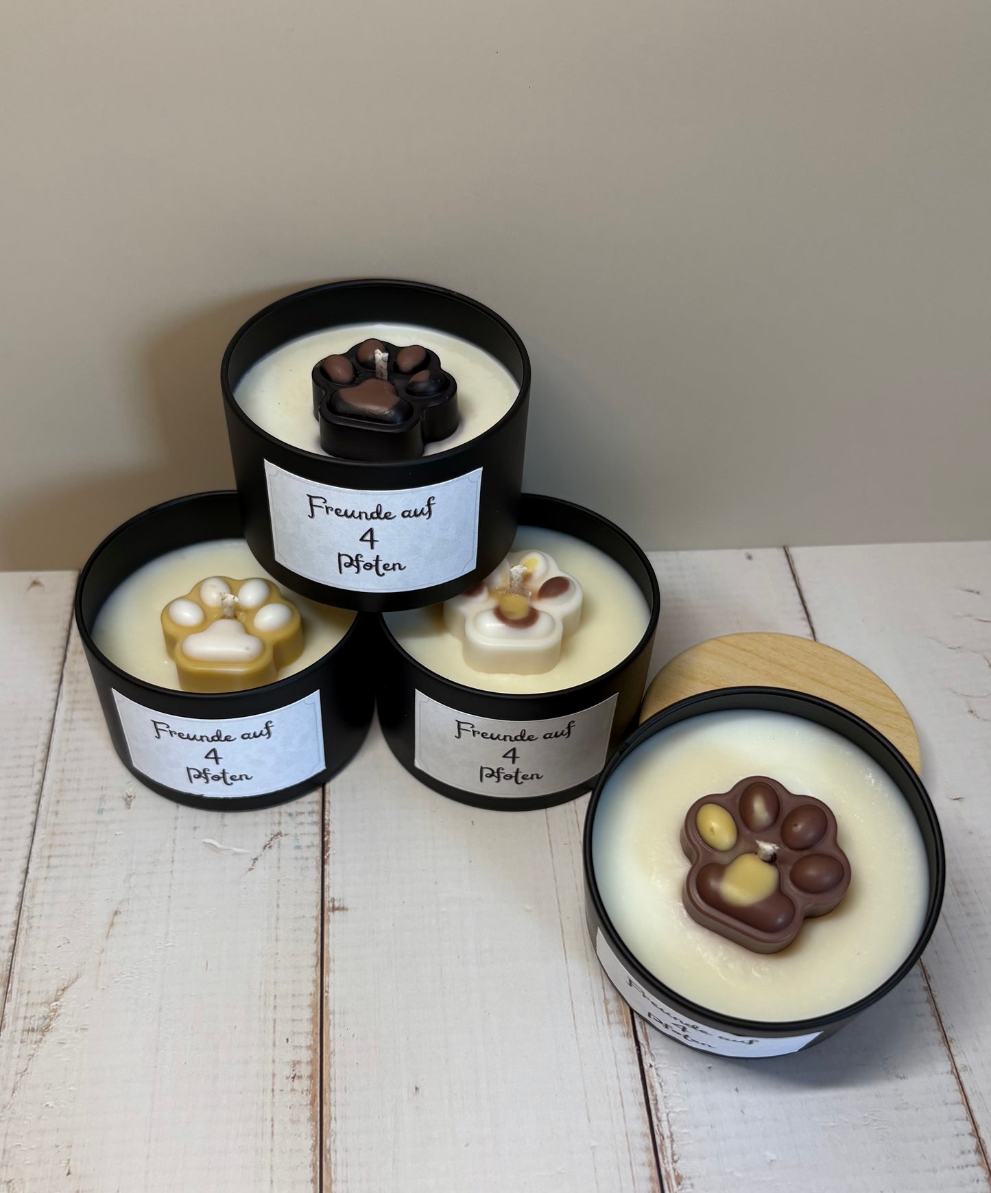 Freunde auf 4 Pfoten